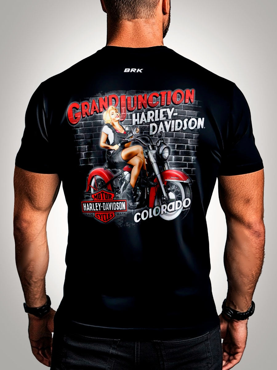 Camisa Harley Davidson Colorado Brk com Proteção UV50