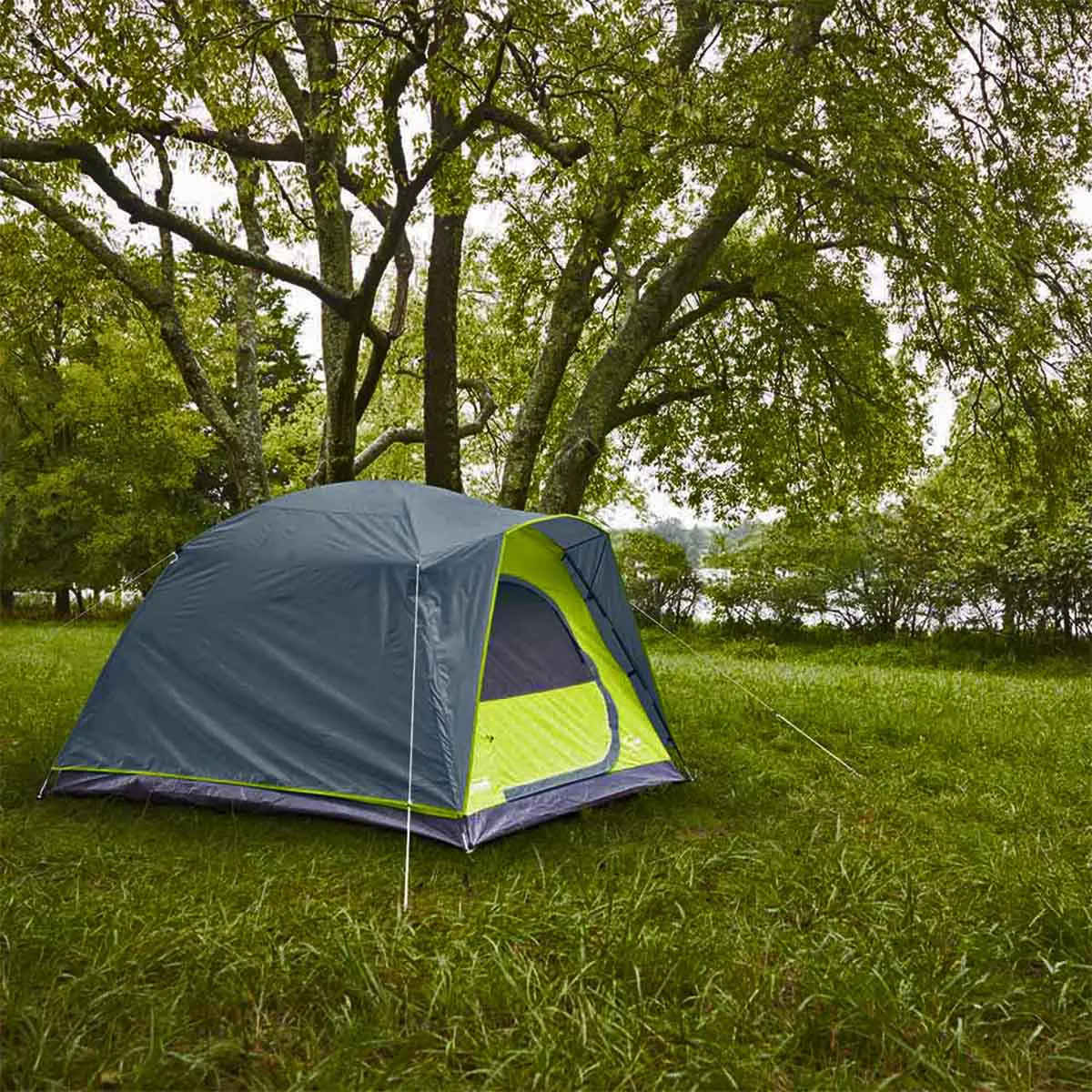 Barraca Camping para 4 Pessoas em Poliéster Amazônia Coleman