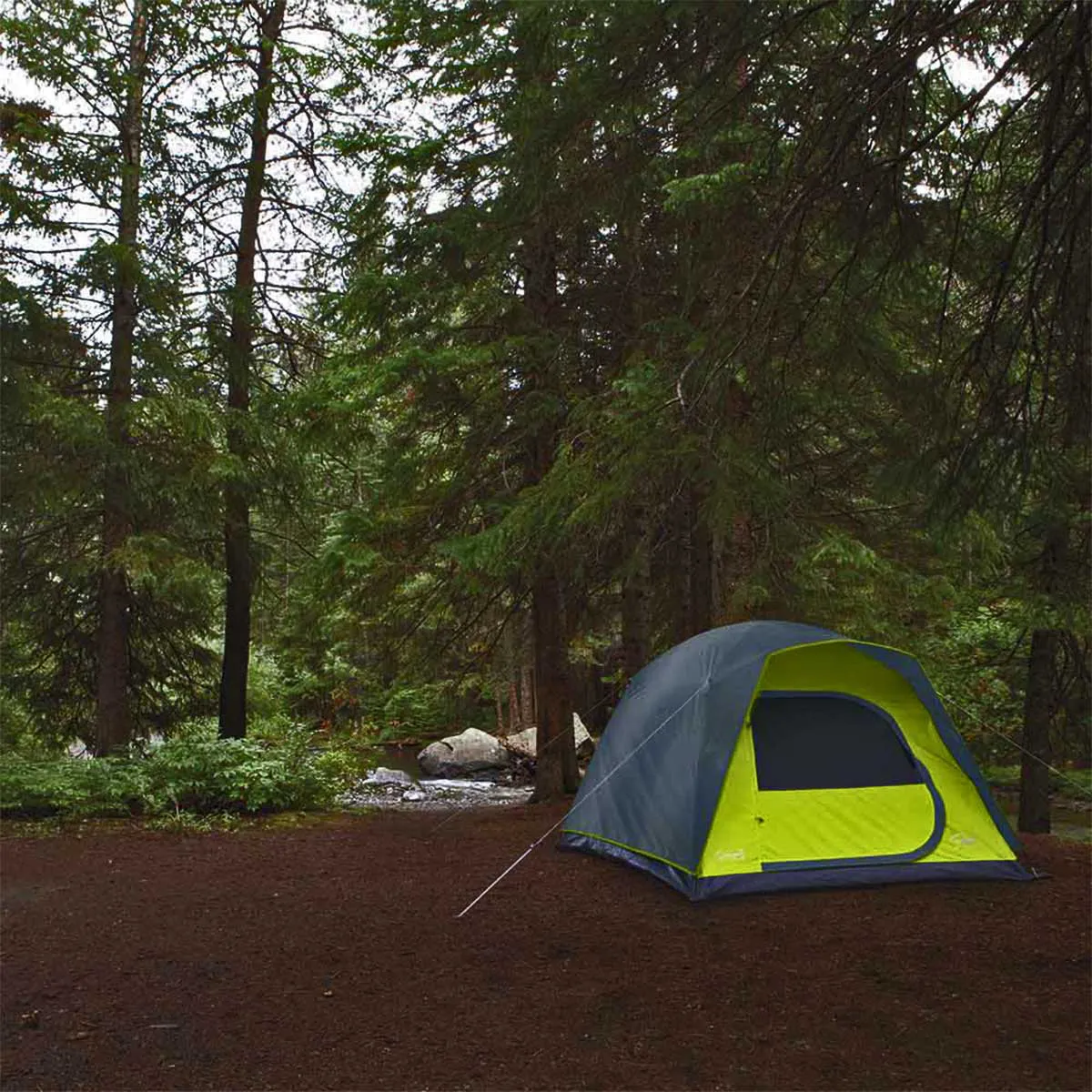 Barraca Camping para 4 Pessoas em Poliéster Amazônia Coleman